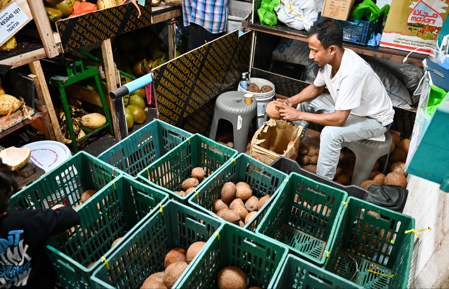 މާރުކޭޓް ގޮޅިއެއްގައި ކާށި ވިއްކާ މީހަކު ކާށިތަކެއް ސާފުކުރަނީ: ކާއްޓެއް 16 ވަރަކަށް ރުފިޔާއަށް ލިބެން ހުރި އިރު މިއީ ރޯދަ މަހު އަގު ވަރަށް ބޮޑަށް އުފުލޭ އެއްޗެއް. -- ފޮޓޯ: ފަޔާޒު މޫސާ | މިހާރު