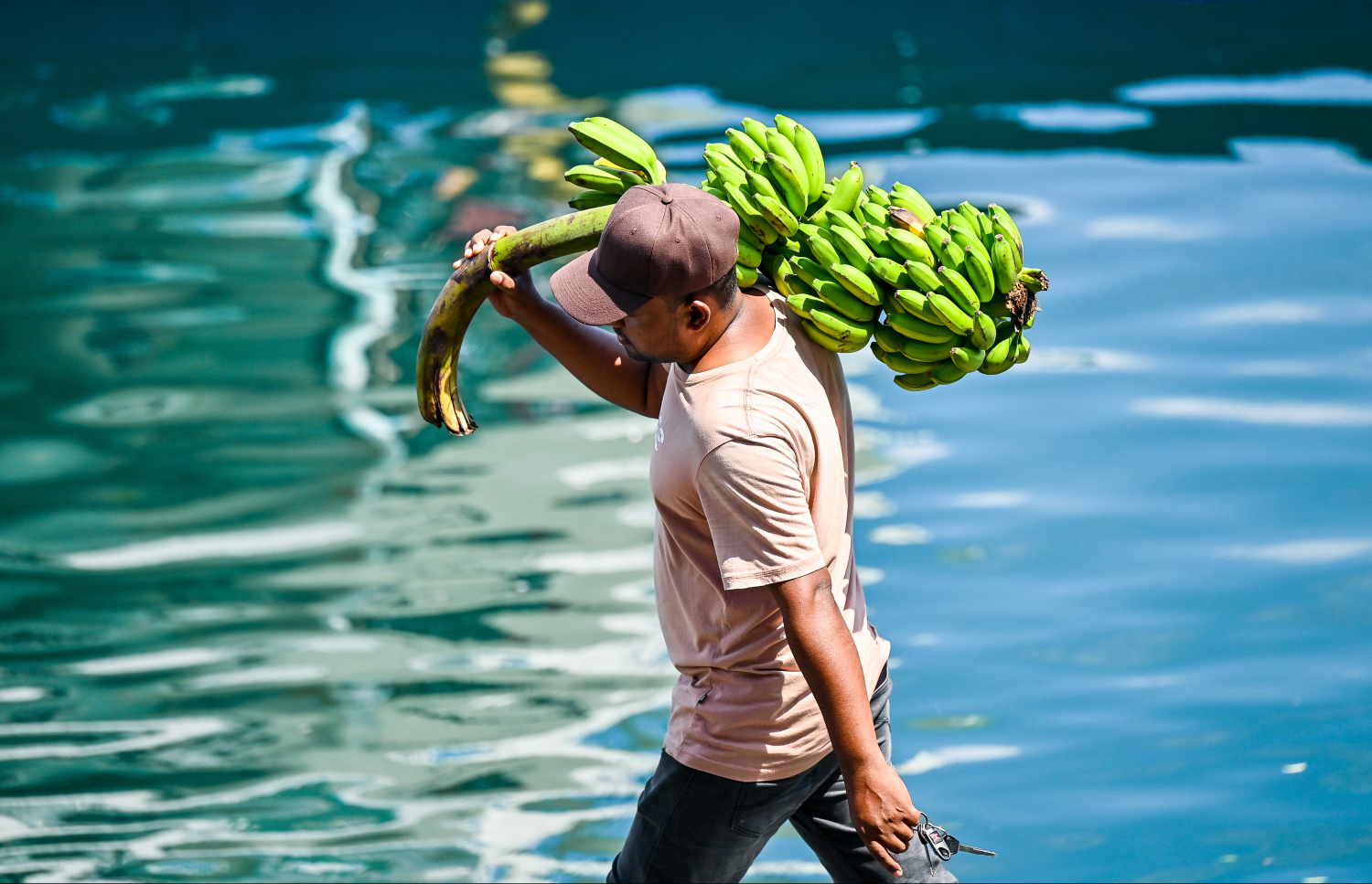 މީހަކު ކެޔޮގަނޑެއް ހިފައިގެން ދަނީ: މިއީ ރޯދަ މަހާ ދިމާކޮށް އެންމެ ޑިމާންޑް ބޮޑުވާ ބާވަތްތަކުގެ ތެރޭގައި ދޮންކެޔޮ ހިމެނޭ. -- ފޮޓޯ: ފަޔާޒު މޫސާ | މިހާރު