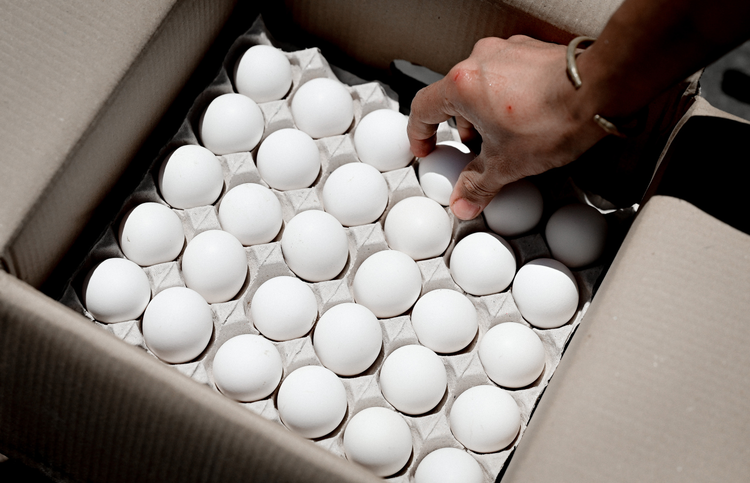 ލޯކަލް މާރުކޭޓު ސަރަހައްދުގައި މީހަކު ބިސްތަކެއް ފޮށީގައި އަތުރަނީ. ބިސް ކޭހެއްގެ އަގު އެވްރެޖްކޮށް އުޅެނީ 320ރ. އަށް -- ފޮޓޯ: ނިޝާން އަލީ | މިހާރު