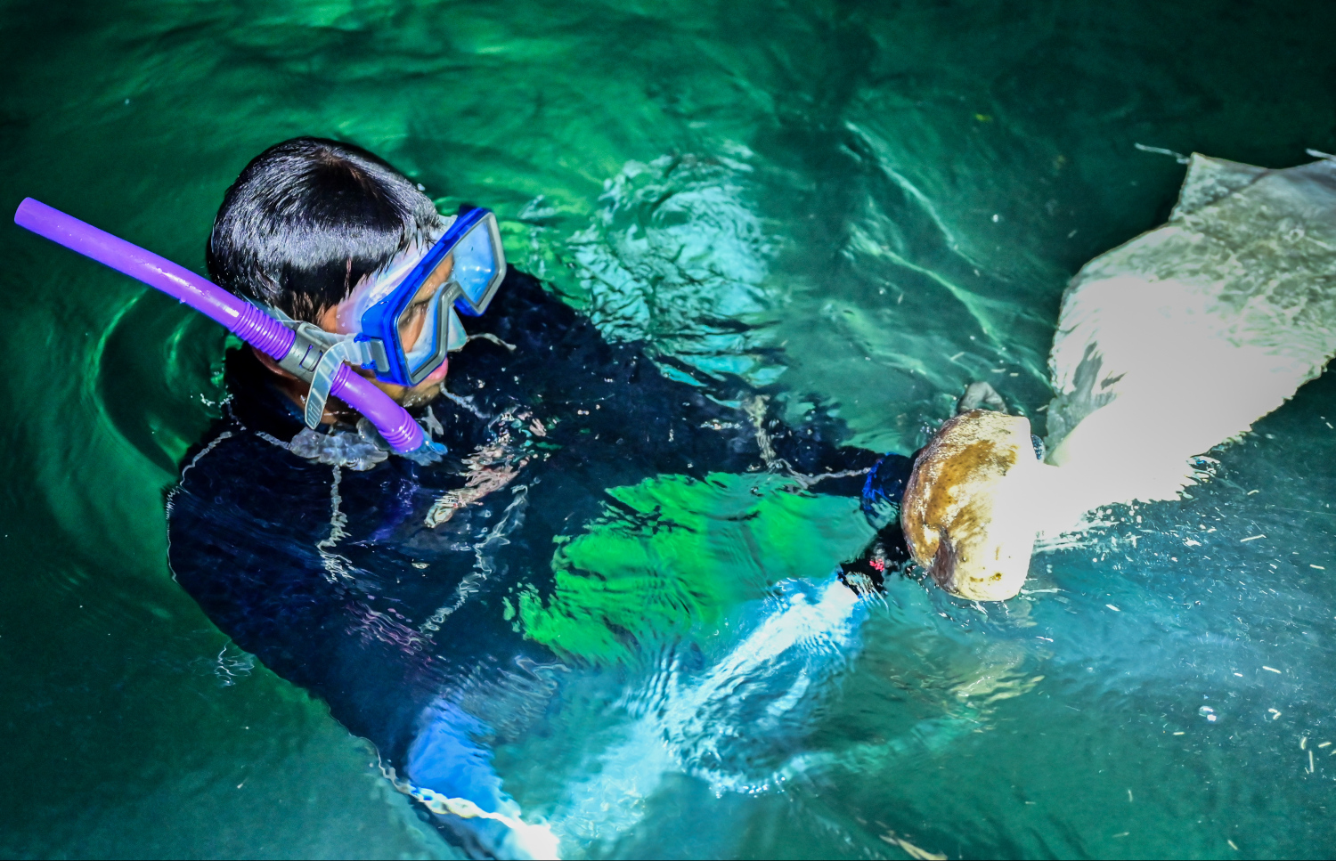 އަފްރާހު ހުއިފިލަނޑައެއް ނަގަނީ -- ފޮޓޯ: ފަޔާޒް މޫސާ / މިހާރު