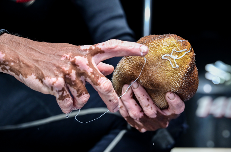 2 million rufiya ge aguhuri huifilandaa thah neelamugai vikkanee PG ge lafaage mathin: Police