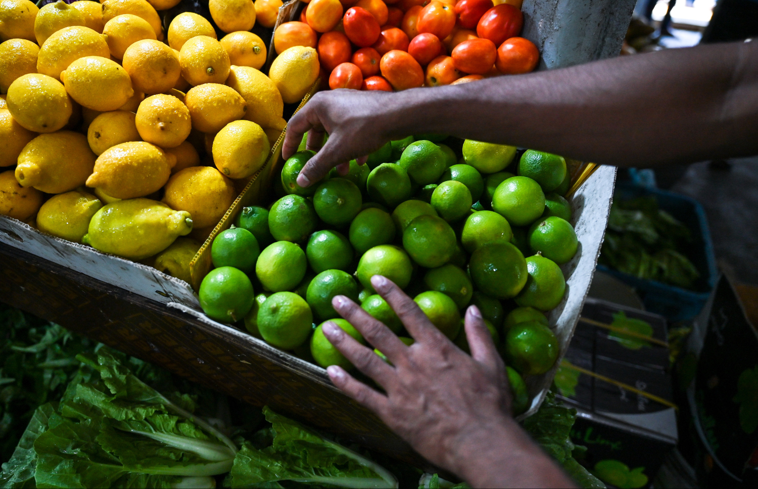 މި އަހަރުގެ މުލަ ރޯދަ ދުވަހު ބާޒާރުން މީހަކު ލުނބޯ ގަންނަނީ. ރޯދަ މަސް ފެށުނު އިރު އަގުތައް އަދި ހުރީ އާދައިގެ ވަރެއްގައި. -- ފޮޓޯ: ފަޔާޒު މޫސާ | މިހާރު