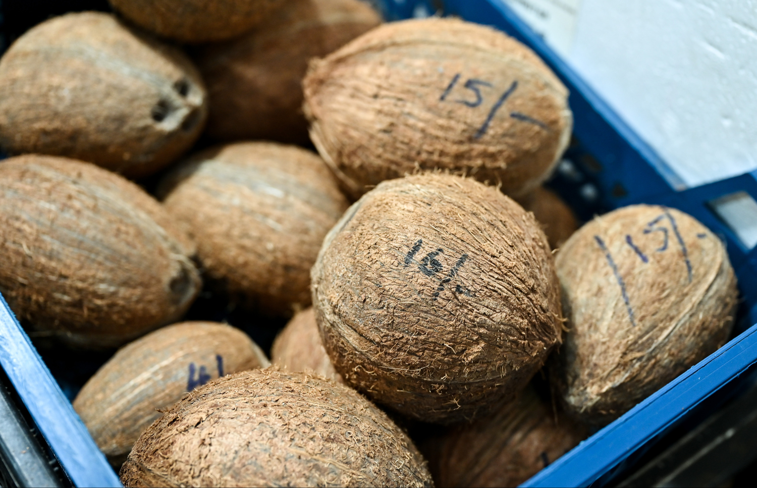 މިއަދު ބާޒާރުގައި ވިއްކަން ބަހައްޓާފައި ހުރި ކާށިތަކެއް. ކާއްޓެއް 16 ވަރަކަށް ރުފިޔާއަށް ލިބެން ހުރި އިރު މިއީ ރޯދަ މަހު އަގު ވަރަށް ބޮޑަށް އުފުލޭ އެއްޗެއް -- ފޮޓޯ: ފަޔާޒު މޫސާ | މިހާރު