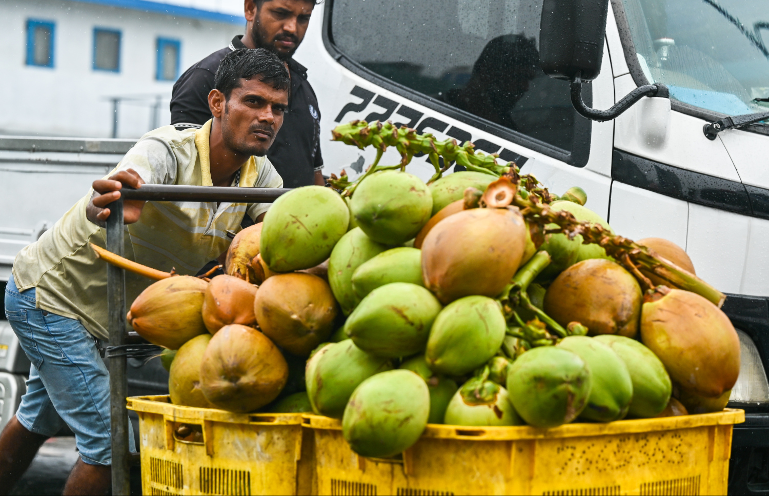 ބާޒާރުމަތީގައި މީހަކު ކުރުނބާތަކެއް ގާޑިޔަލެއްގައި އުފުލަނީ. ރޯދަ މަސް ފެށުނު އިރު ކުރުނބާއެއްގެ އަގު އުޅެނީ 30ރ. އާއި 35ރ. އާ ދެމެދުގައި. -- ފޮޓޯ؛ ފަޔާޒު މޫސާ | މިހާރު