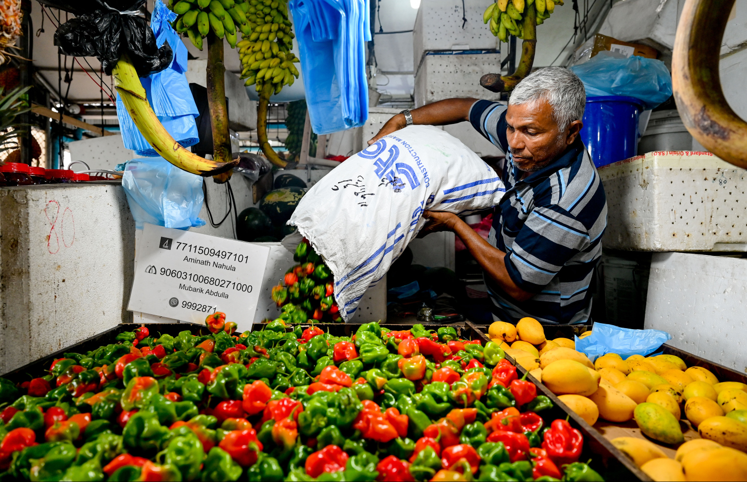 ލޯކަލް މާރުކޭޓުގައި ހުރި ގޮޅިއަކުން މިރުސް ބަސްތާއެއް އޮއްސާލަނީ -- ފޮޓޯ: ނިޝާން އަލީ / މިހާރު