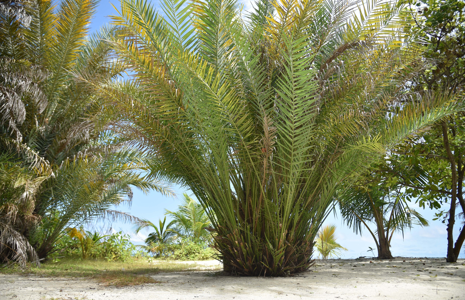 ތުޅާދޫގެ ޗާލު ކަދުރު ދަނޑު. -- ފޮޓޯ: ސަނާހު އަބްދުލްރަހީމް