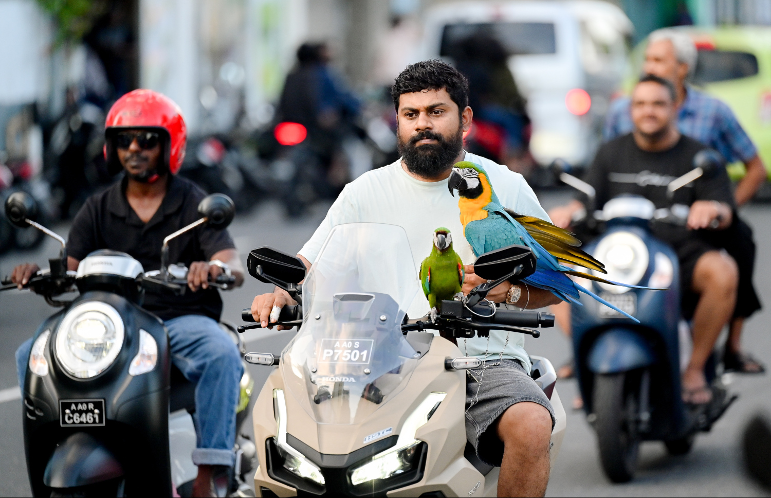 ރޯދަ ކުރުކޮށްލުމަށްޓަކައި ބަޔަކު ސައިކަލުގައި ދަނީ: ރޯދަ ކުރުކޮށްލުމަށްޓަކައި ކުޑަކުދިން ގޮވައިގެން ދުއްވާލަން ދިއުމަކީ މާލޭގައި އާންމު މަންޒަރެއް.-- ފޮޓޯ: ނިޝާން އަލީ /މިހާރު