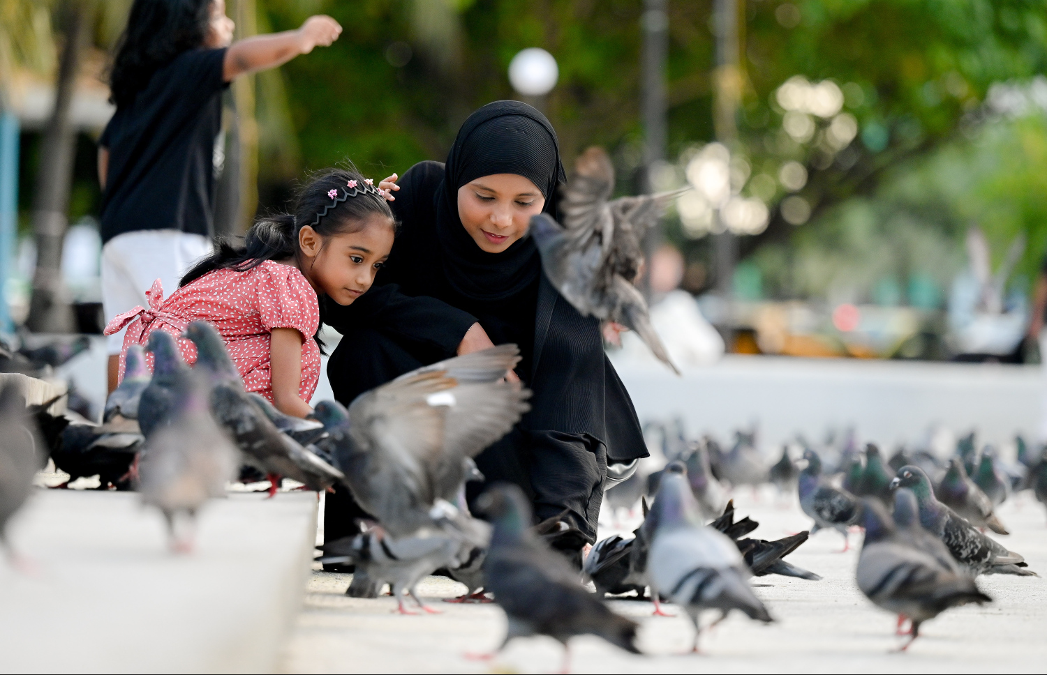 އާޓިފިޝަލް ބީޗް ސަރަހައްދުގައި ކުޑަކުއްޖަކު ކޮތަރަށް ކާންދެނީ. ފޮޓޯ: ނިޝާން އަލީ | މިހާރު