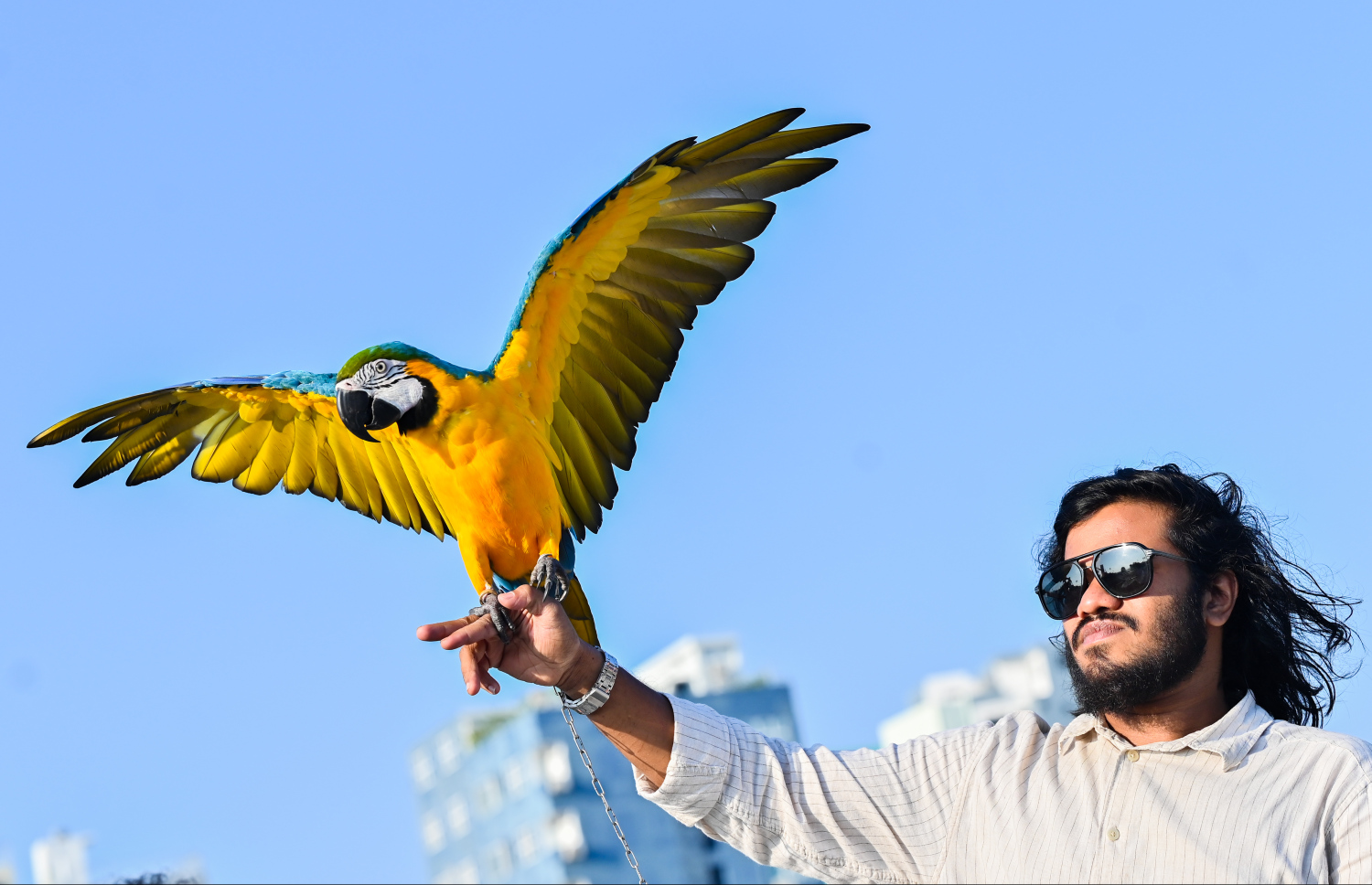 ރޯދަ ކުރުކުރުން މާލެ ތެރެއިން