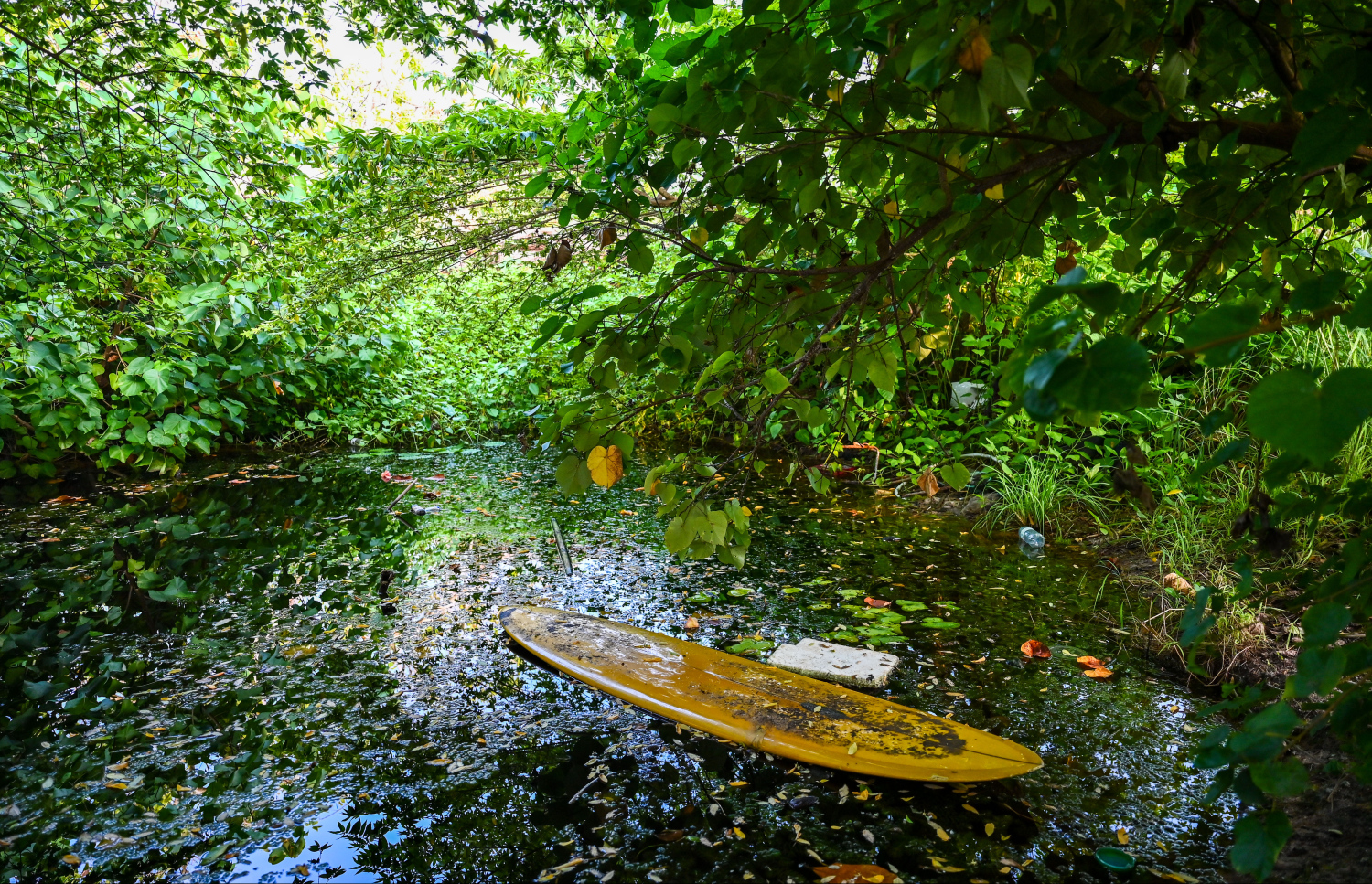 ކާންޒީ ކަމަނާގެ ވެވު. އެތަނުގައި އައް ފޫޓުވަރު ހުރޭ -- ފޮޓޯ: ފަޔާޒް މޫސާ / މިހާރު