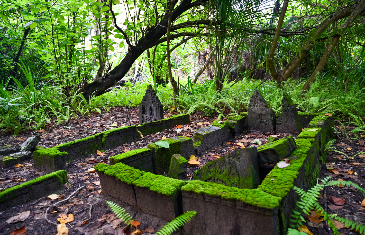 ގަލަ މިސްކިތް ޒިޔާރަތް. އެތަނުގައި މީހުންތަކެއް ވަޅުލާފައިވާ މަހާނަތަކެއް -- ފޮޓޯ: ފަޔާޒް މޫސާ / މިހާރު