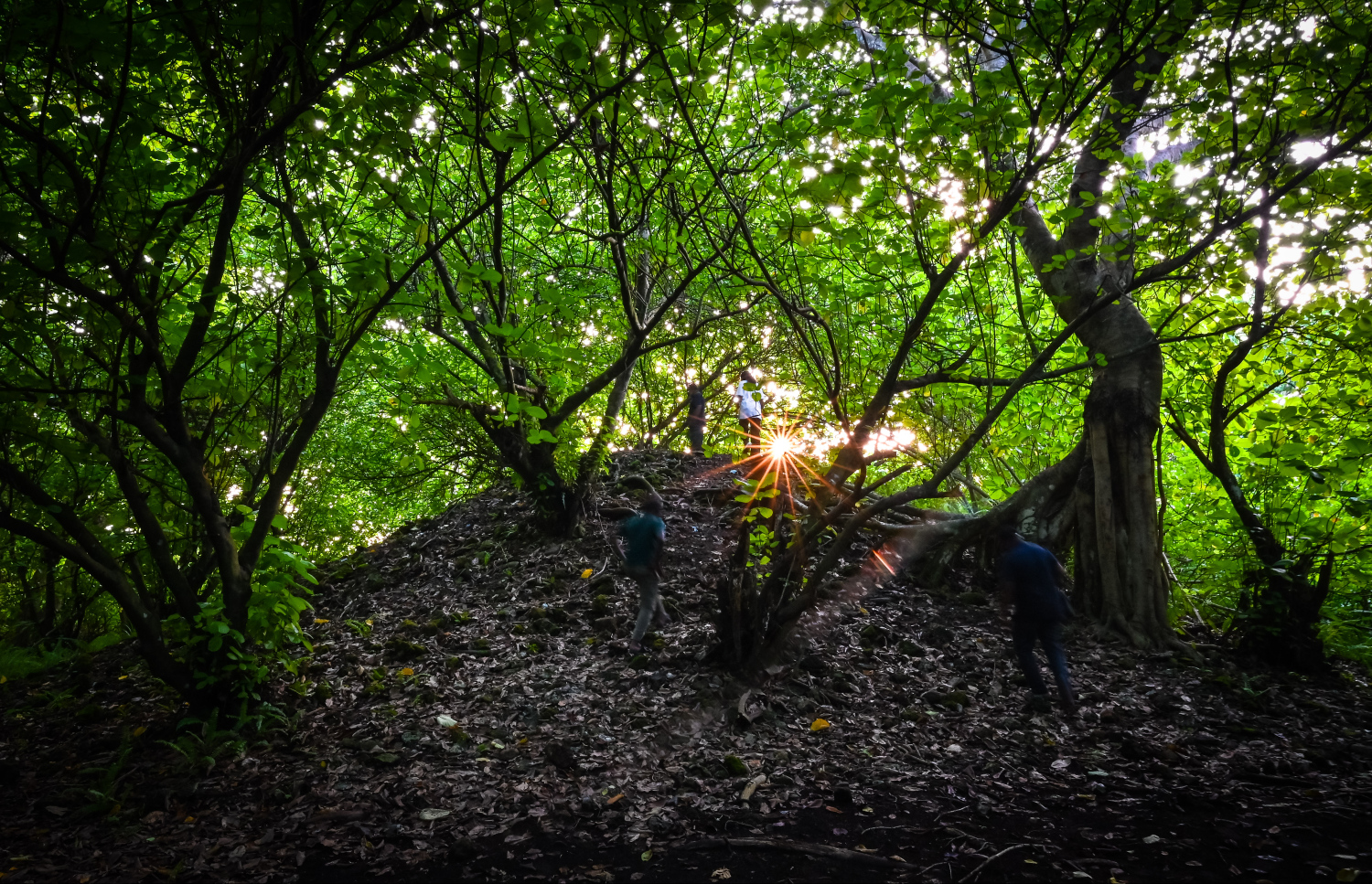 ވާދޫގެ ހަވިއްތައެއް: އެއީ ވަރަށް ހުސްކޮށް ހުރި ސަރަހައްދެއް -- ފޮޓޯ: ފަޔާޒް މޫސާ / މިހާރު