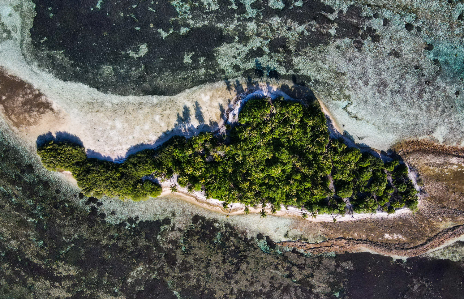 ގދ. ގެ ރަށް ފަތީގައި އޮންނަ ރަށެއް: މިއީ ގުދުރަތީ އަޖައިބެއް.-- ފޮޓޯ: ފަޔާޒް މޫސާ | މިހާރު