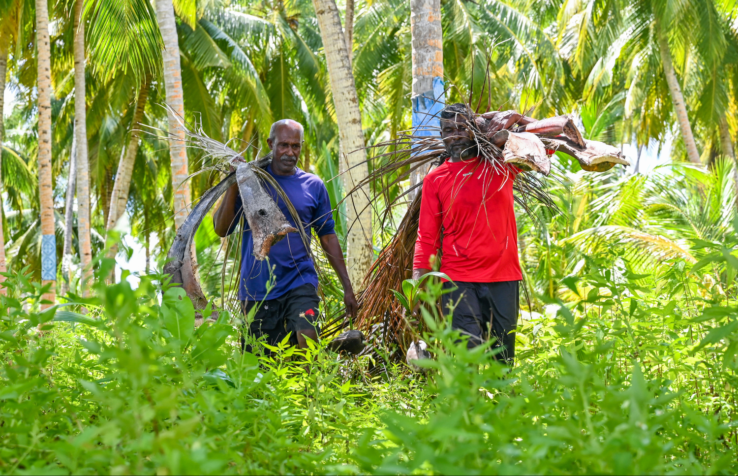 ގދ. އެހިކަވާގައި އިމާދު އާއި ސައީދު: މި ރަށުގެ ވާހަކަތައް އަހަރެމެންނަށް ކިޔައިދިނީ އެމީހުން.-- ފޮޓޯ: ފަޔާޒް މޫސާ | މިހާރު