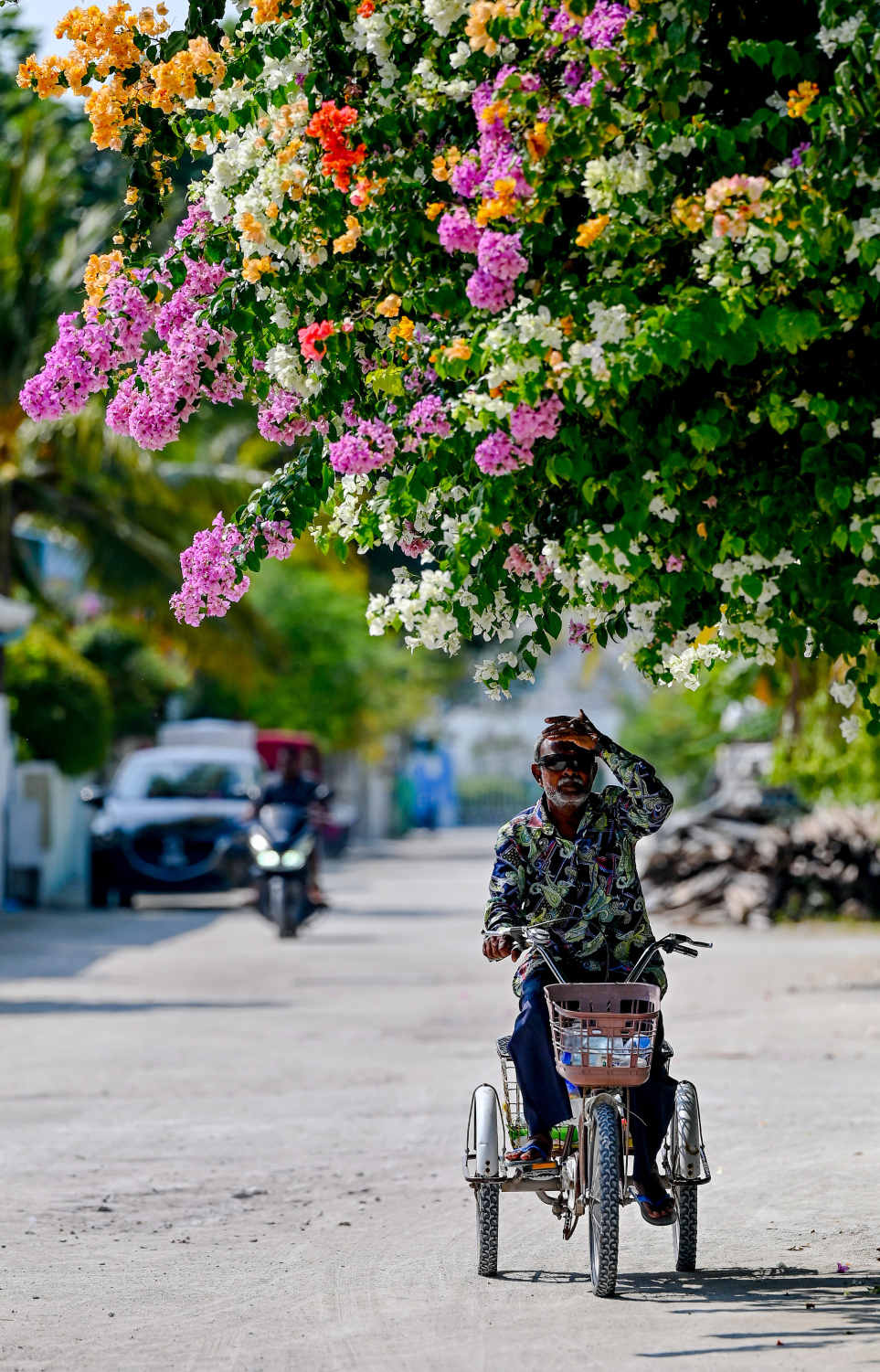 ދަރަވަންދޫގެ ގެއެއްގައި ބޯގަންވިލާ ހައްދާފައި. މިއީ މި ރަށުގެ މަގުތަކުން ފެންނަ އެންމެ ހިތްގައިމު މަންޒަރު. ކޮންމެ މަގަކުންވެސް ފެންނަނީ އެކި ކުލަކުލައިގެ ރީތި ބޯގަންވިލާ މާ ކޯޅިތައް.-- ފޮޓޯ: ނިޝާން އަލީ | މިހާރު