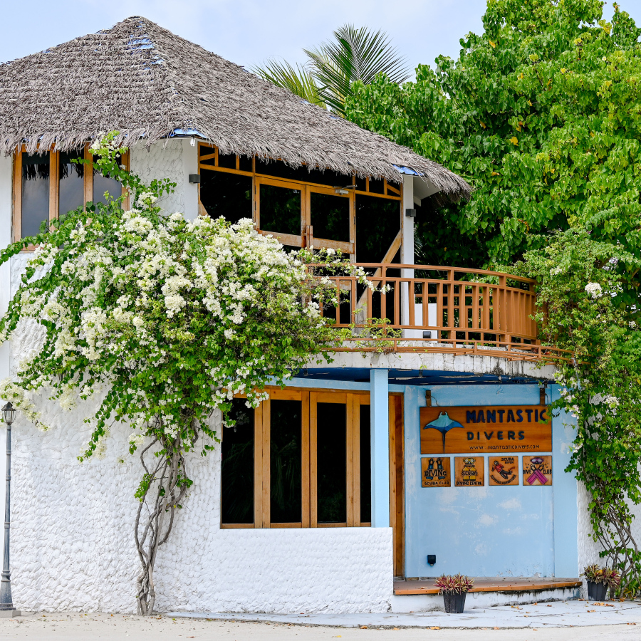 ދަރަވަންދޫގެ ގެސްޓް ހައުސްއެއްގެ ބޭރުގައި ބޯގަންވިލާ ހައްދާފައި. އެކިކުލަކުލައިގެ ބޯގަންވިލާ ގަސްތައް މިހާ ފޯރީގައި ދަރަވަންދޫގައި އިންދަން ފެށީ ކޮވިޑް19 ގެ ފަހުން.-- ފޮޓޯ: ނިޝާން އަލީ | މިހާރު