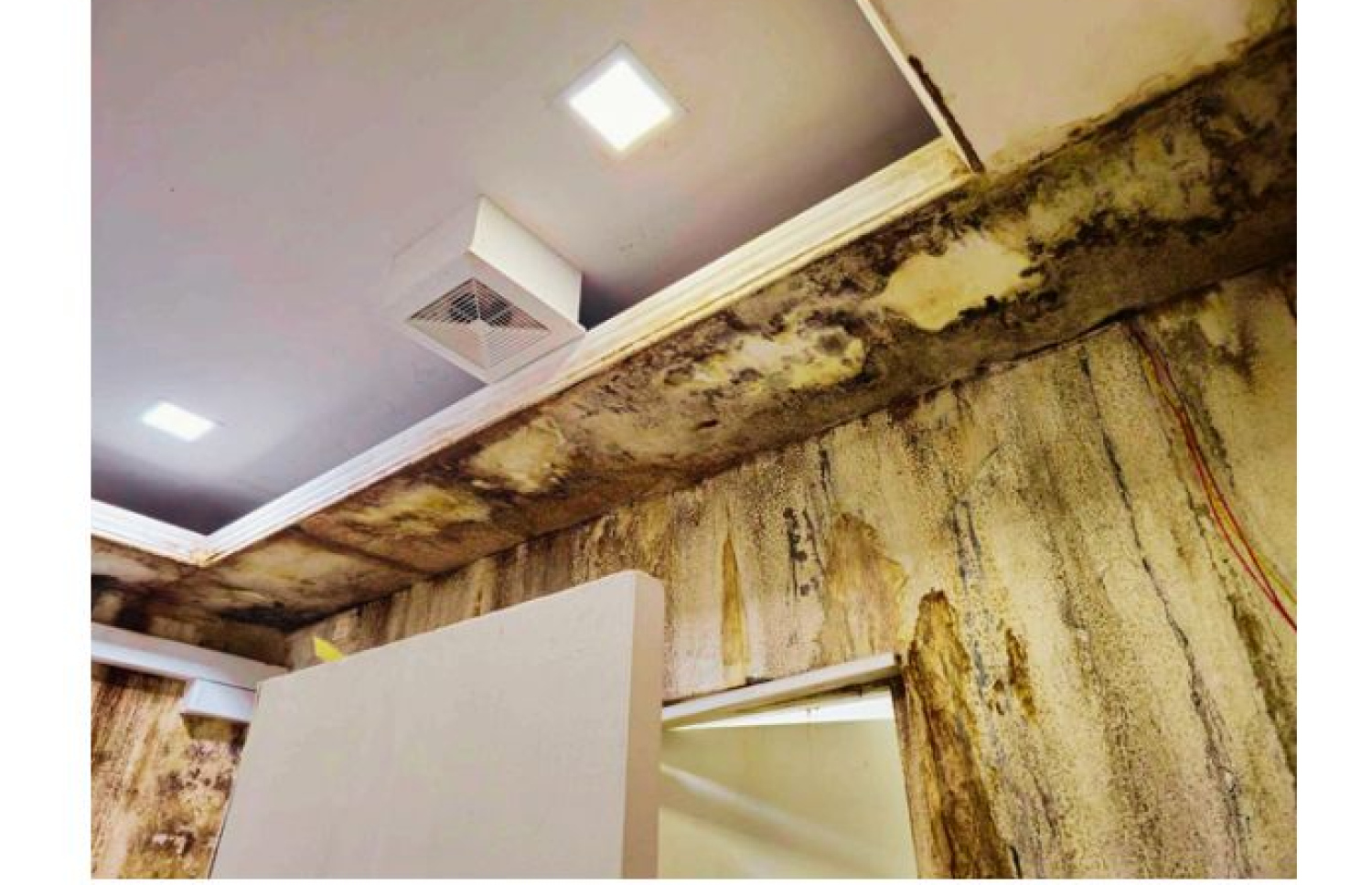 އައިކޮމްގެ އޮފީހުގައި ފޫ ޖަހާފައި.-- ފޮޓޯ: އައިކޮމް އަހަރީ ރިޕޯޓު