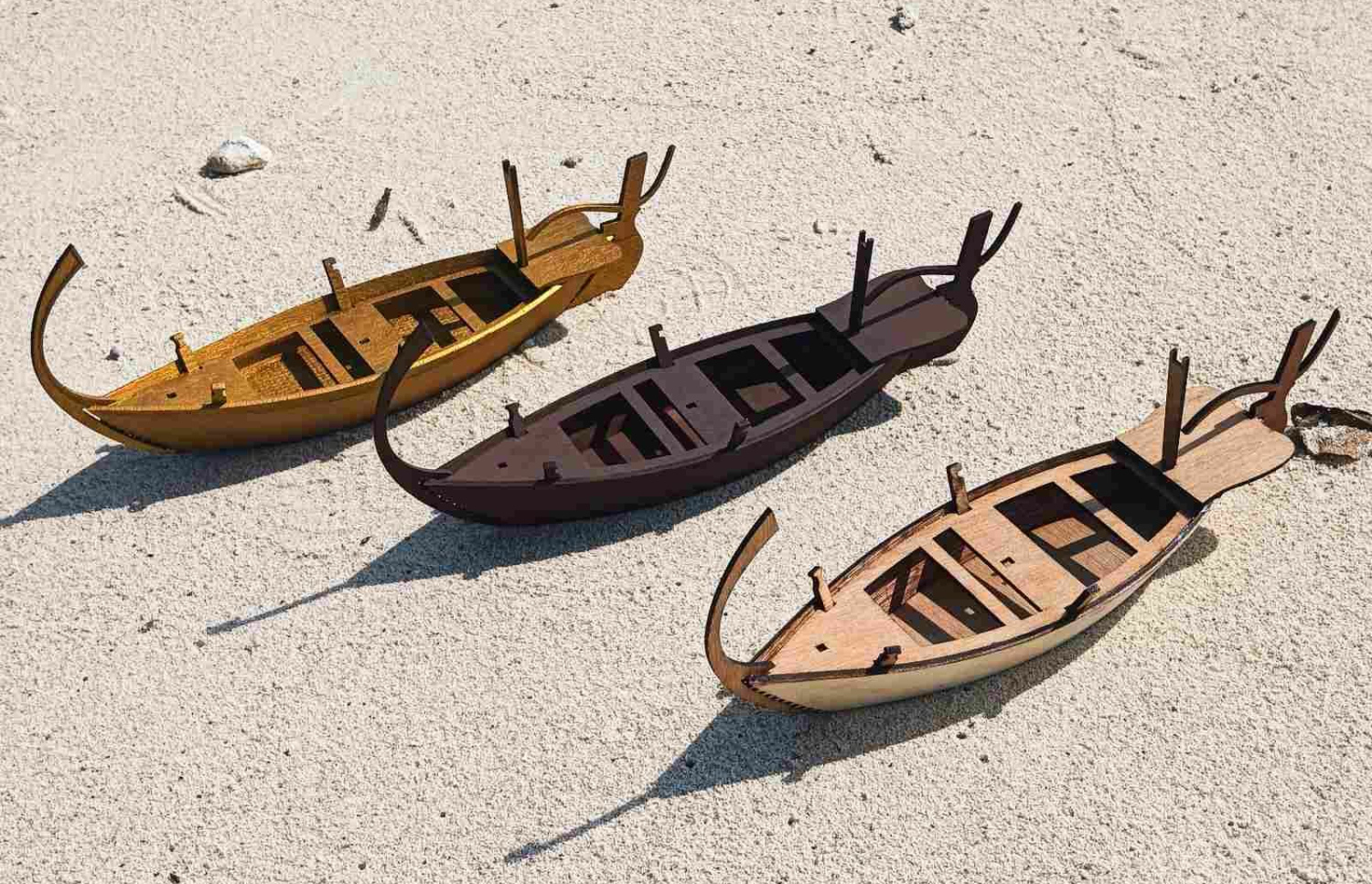 އިޔާދު ހަދާފައިވާ ދޯނިތަކެއް.