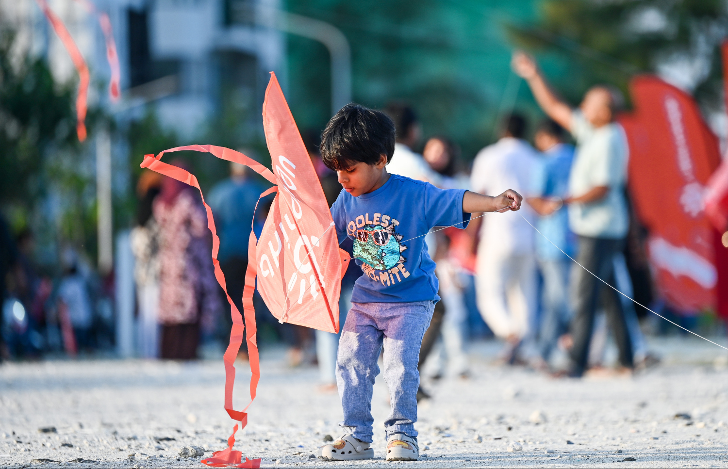 ދިރާގު ގުޑި ފެސްޓުގައި ކުޑަކުއްޖަކު ގުޑި އަރުވަން ތައްޔާރުވަނީ: މި ހަރަކާތުގައި ބެލެނިވެރިންނާ އެކު ގިނަ އަދަދެއްގެ ކުދިން ބައިވެރިވި.--- ފޮޓޯ؛ ފަޔާޒު މޫސާ | މިހާރު