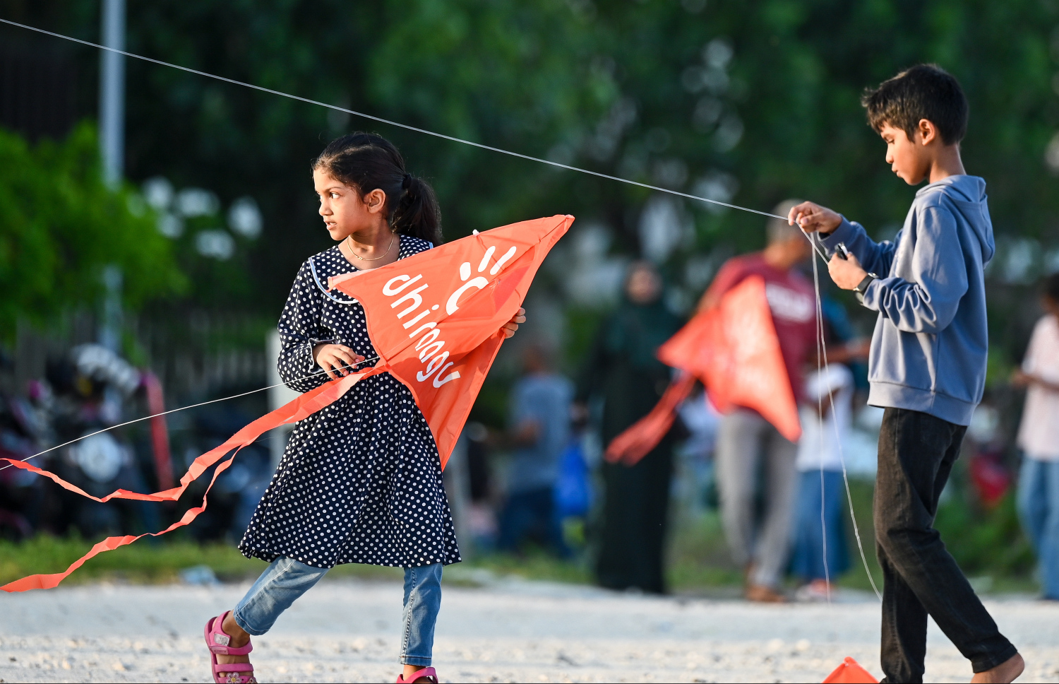 ދިރާގު ގުޑި ފެސްޓުގައި ދެ ކުއްޖަކު ގުޑި އަރުވަން ތައްޔާރުވެގެން.--- ފޮޓޯ: ފަޔާޒު މޫސާ | މިހާރު