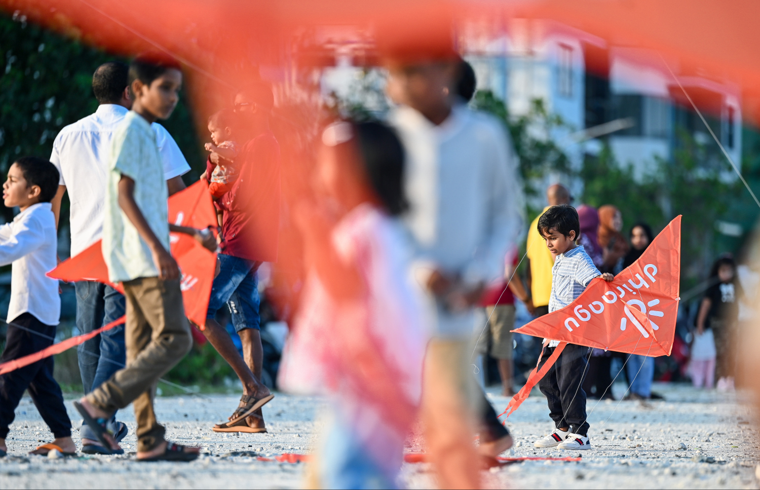 ދިރާގު ގުޑި ފެސްޓް ހުޅުމާލެ 2 ގެ އެންޓްރެންސްގައި އޮންނަ ދިރާގު ބީޗުގައި ކުރިއަށް ގެންދަނީ: މި ހަރަކާތުގައި ގިނަ އަދަދެއްގެ ކުދިން ބައިވެރިވި.--- ފޮޓޯ: ފަޔާޒު މޫސާ | މިހާރު