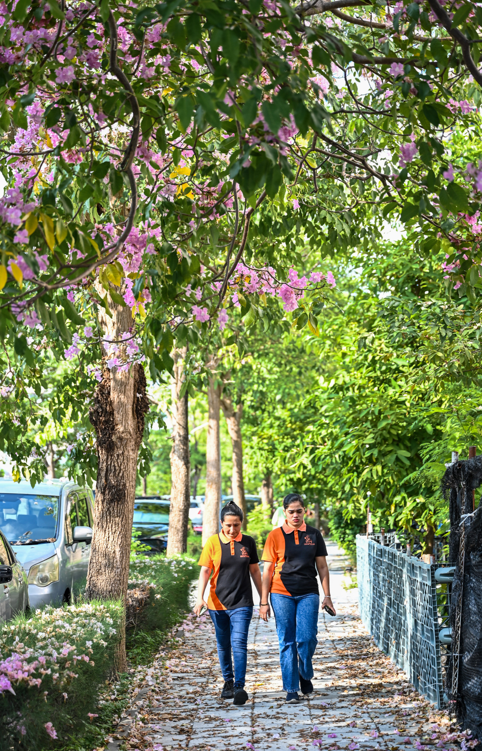 ހުޅުމާލެ ޗަނބޭލީ މަގުން ދެ މީހަކު ހިނގާފައި އަންނަނީ: އެ މަގުގެ ދެ ފަރާތުގައި ހުރި ގަސްތަކުގައި ހުރި މާތަކާ އެކު މަގުގެ ރިތިކަން ފުރިހަމަ. -- ފޮޓޯ: ފަޔާޒު މޫސާ | މިހާރު