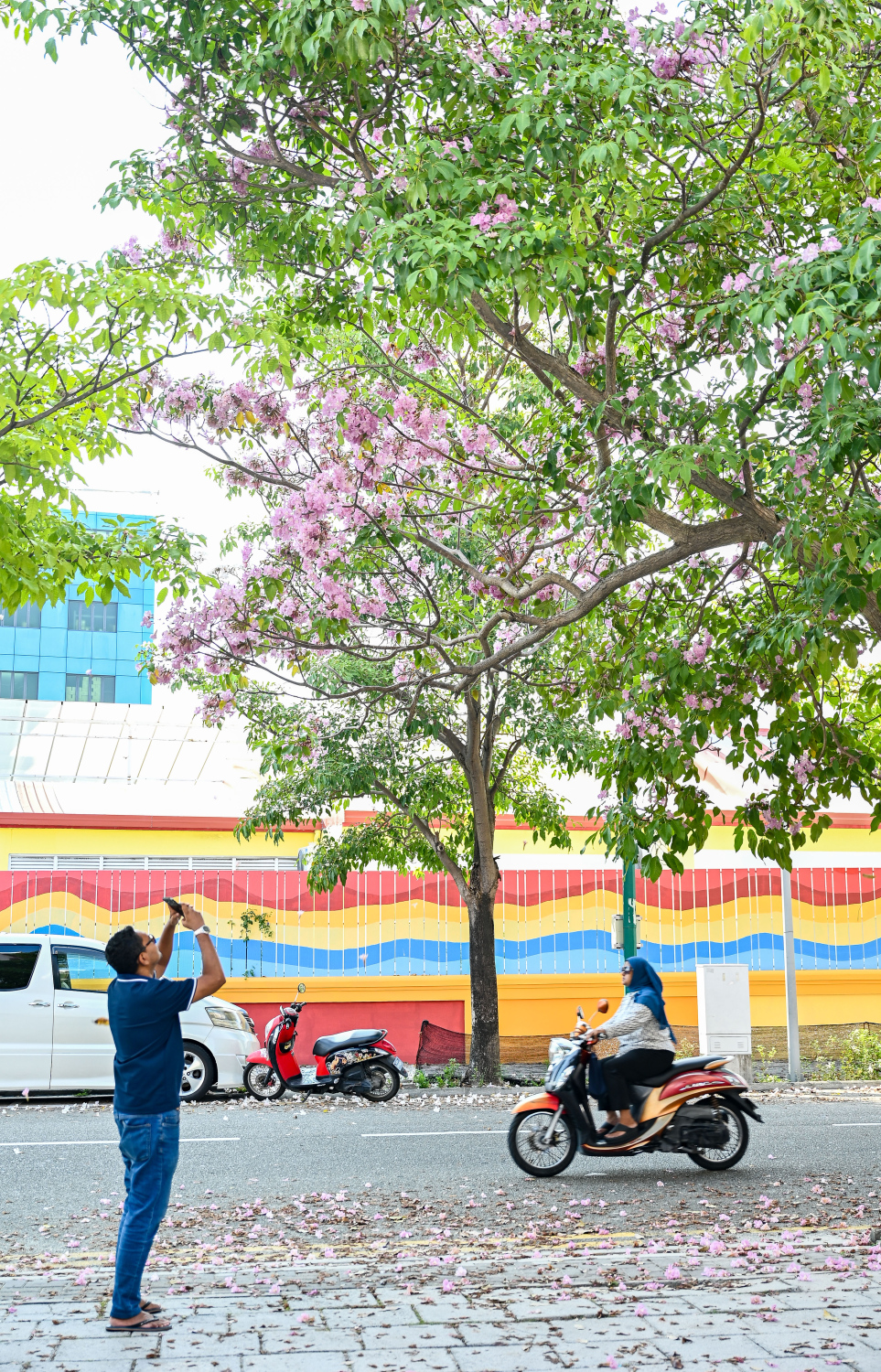 ހުޅުމާލެ ޗަނބޭލީ މަގުގައި ހުރި މަޑިމަސްވަކަރު ގަސްތަކުގައި ހުރި މާތަކުގެ ފޮޓޯ ނަގަނީ. -- ފޮޓޯ: ފަޔާޒު މޫސާ | މިހާރު