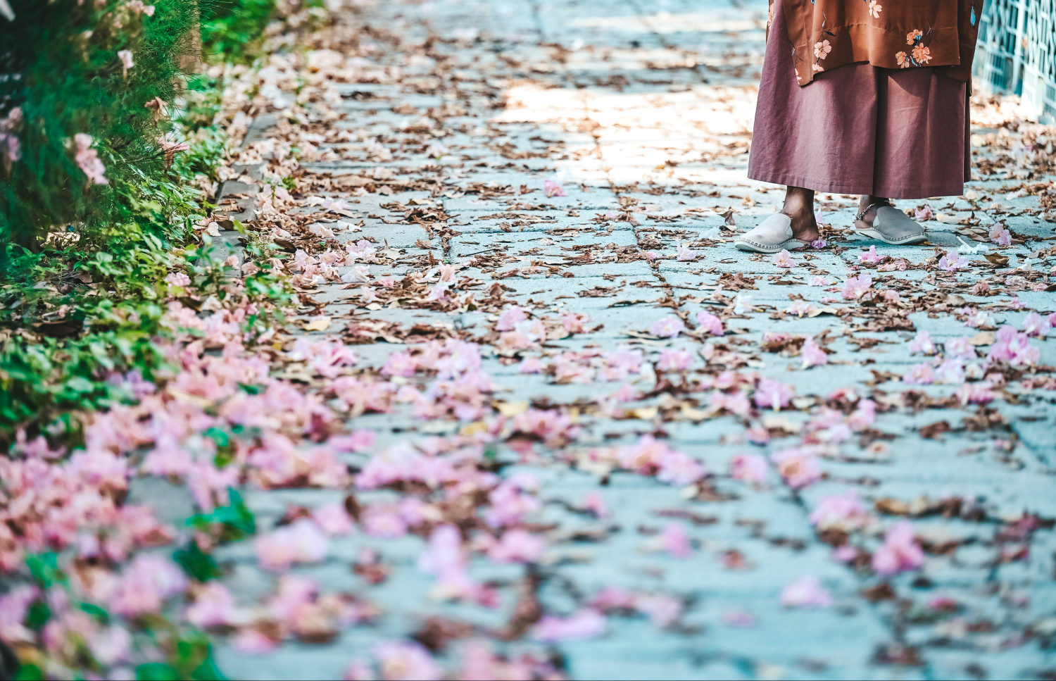 މަޑިމަސްވަކަރު ގަސްތަކުން ފައިބާފަހުރި މާތަކުގެ ތެރޭގައި މީހަކު މަޑުކޮށްލައިގެން. -- ފޮޓޯ: ފަޔާޒު މޫސާ | މިހާރު