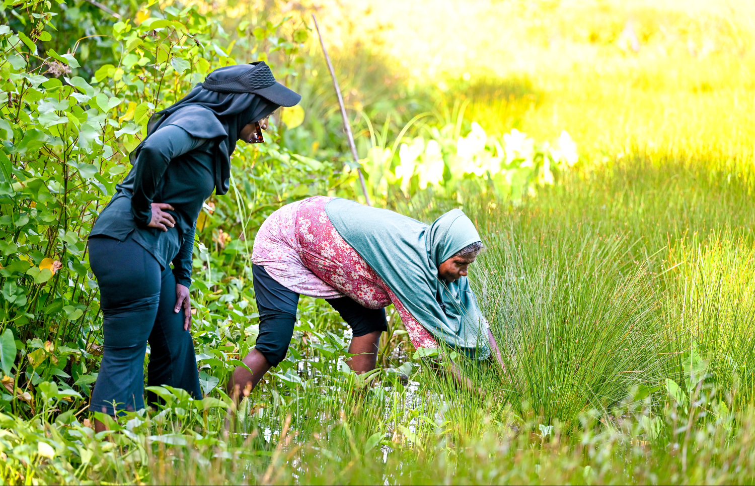 ހައި ދަނޑު ސާފުކުރުމުގެ މަސައްކަތް ނައީމާ ކުރަނީ: ކޮންމެ ދުވަހަކު ވެސް ދަނޑަށް ގޮސް ދަނޑު ސާފުކުރަން ޖެހޭ -- ފޮޓޯ: ފަޔާޒް މޫސާ / މިހާރު
