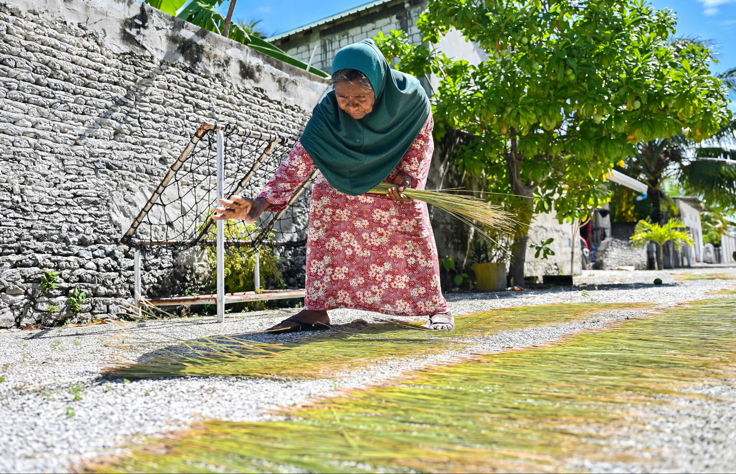 ހައި ހިއްކަން އަޅަނީ. ހިއްކުމަށް ފަސް ދުވަސްވަރު ނަގާ -- ފޮޓޯ: ފަޔާޒް މޫސާ / މިހާރު