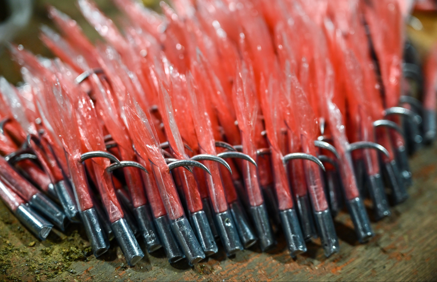 މުހަންމަދު ހަދާފައިވާ ބުޅިތަކެއް: މިހާރު އޭނާ ދުވާލެއްގެ މައްޗަށް 300 އެއްހާ ބުޅި ހަދާ. -- ފޮޓޯ: ފަޔާޒް މޫސާ / މިހާރު