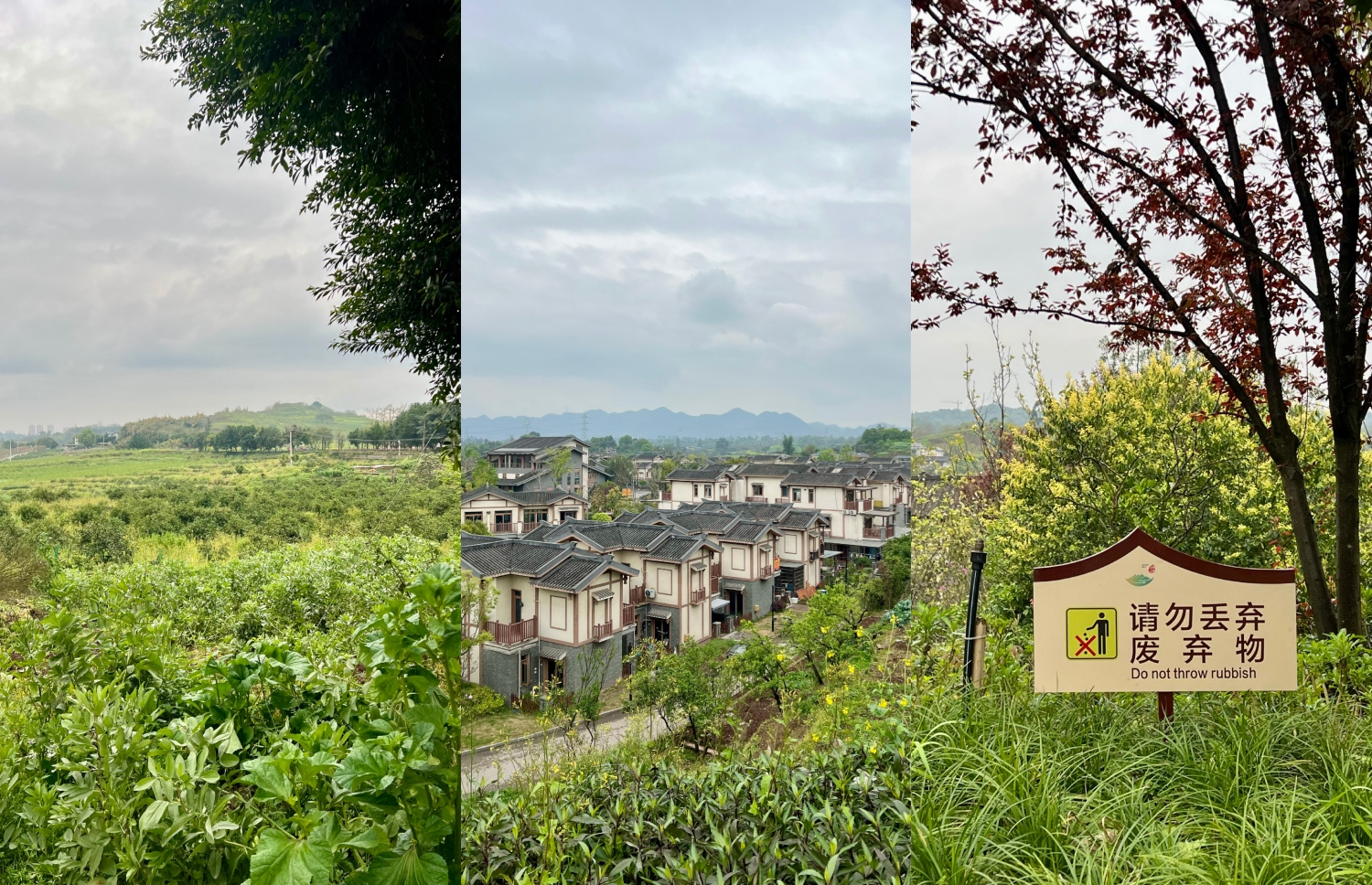 ޗައިނާގެ ރަށްފުށު ހިސާބެއް ކަމަށްވާ "ހީރޯސް ބޭ".-- ފޮޓޯ: މިހާރު