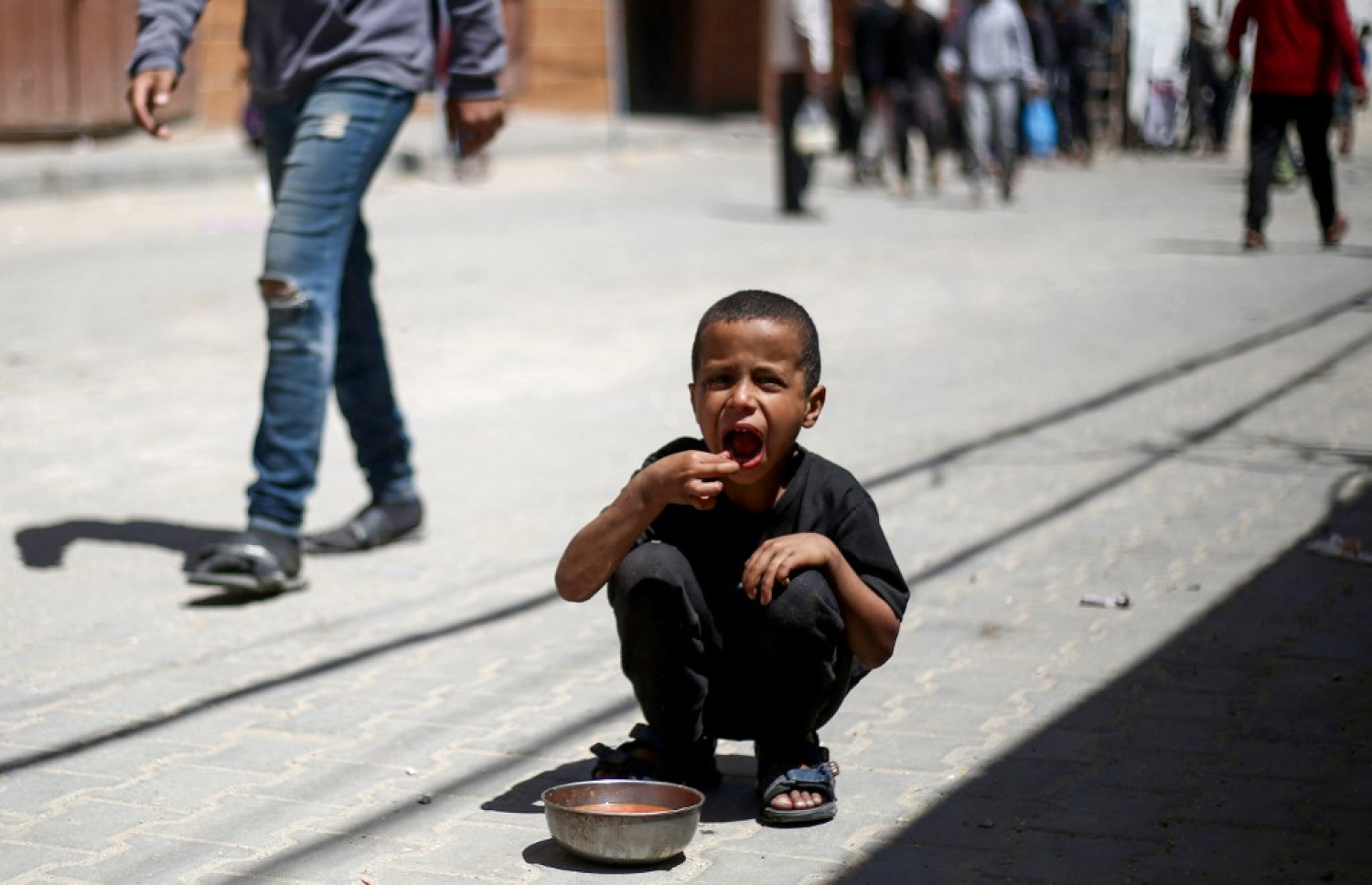 ފަލަސްތީނުގެ ޣައްޒާގައި ކާނާ ބަހާ ތަނަކުން ލިބުނު ކާއެތިކޮޅާ އެކު ކުއްޖަކު މަގުމަތީގައި. -- ފޮޓޯ: އޭއެފްޕީ