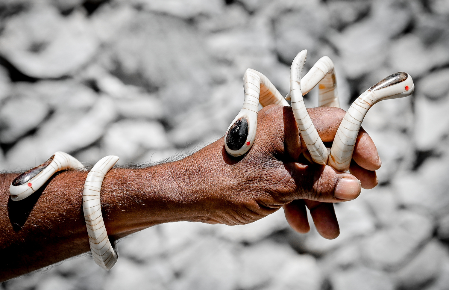 ގެރި ކަށިން ހަދާފައިވާ ހަރުފައެއް.-- ފޮޓޯ: ނިޝާން އަލީ | މިހާރު