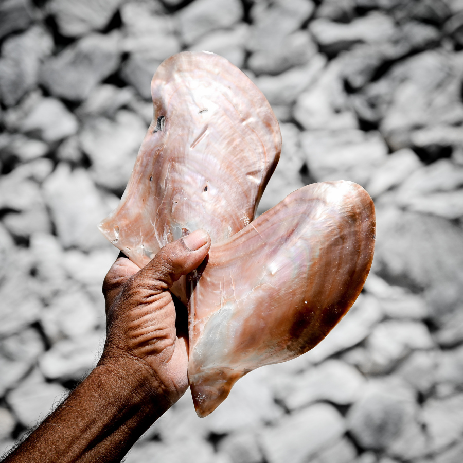 ދޯނި ހެދުމުގައި ބޭނުންކުރާ އިތާއެެއް.-- ފޮޓޯ: ނިޝާން އަލީ | މިހާރު