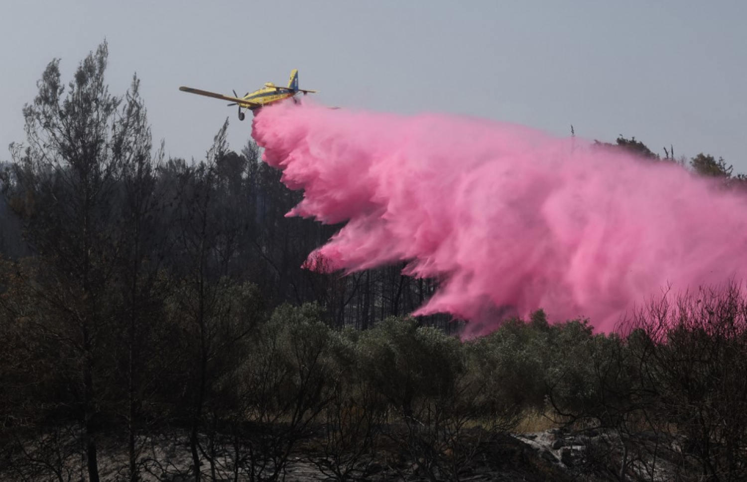 އިޒްރޭލުގައި ރޯވެފައިވާ އަލިފާން ނިއްވުމުގެ މަސައްކަތްކުރަނީ. -- ފޮޓޯ: އޭއެފްޕީ