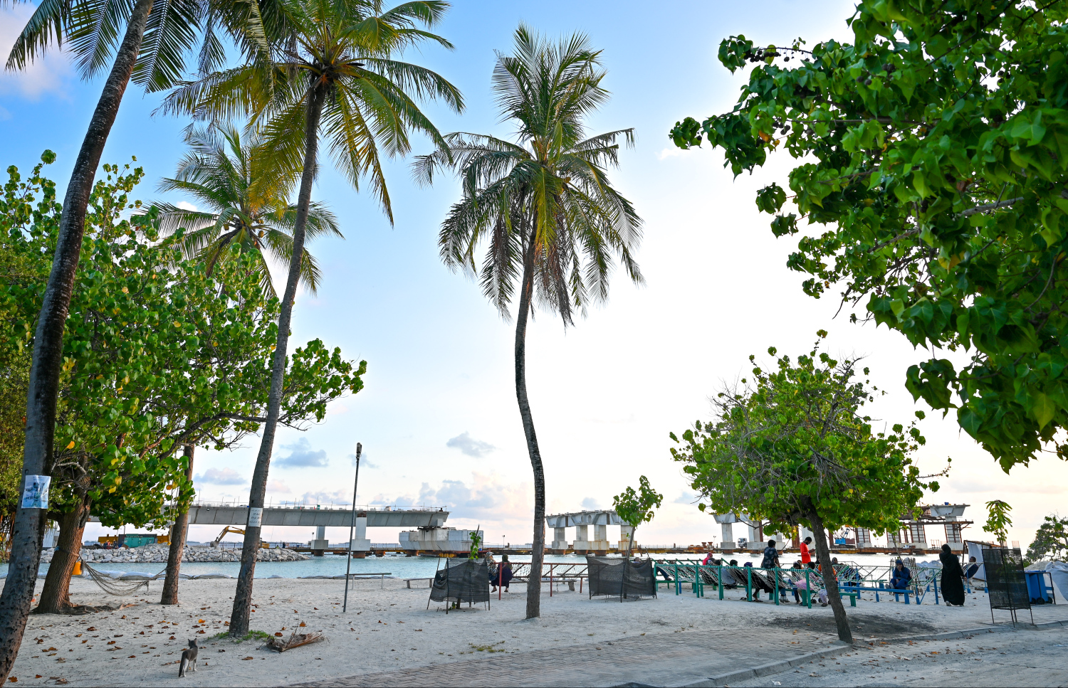 ވިލިމާލޭގެ ހުޅަނގު ފަރާތު ބީޗާ ދިމާލުން ބްރިޖުގެ މަސައްކަތް ކުރަމުން އަންނައިރު އާންމުން އެ ސަރަހައްދުގައި ހުރި ޖޯލިތަކުގައި މަޑުކޮށްލައިގެން--- ފޮޓޯ: ފަޔާޒު މޫސާ | މިހާރު