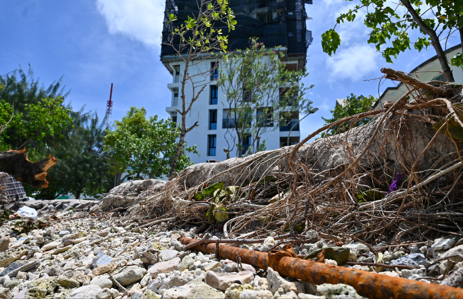 ވިލިމާލެ ހުޅަނގު ފަރާތުން ރަށްގިރައިފައި: ރަށްގިރުމުގެ ސަބަބުން އެ ސަރަހައްދުގައި ހުރި ބޮޑެތި ގަސްތައް ދަނީ ވެރެމުން.-- ފޮޓޯ: ފަޔާޒް މޫސާ | މިހާރު