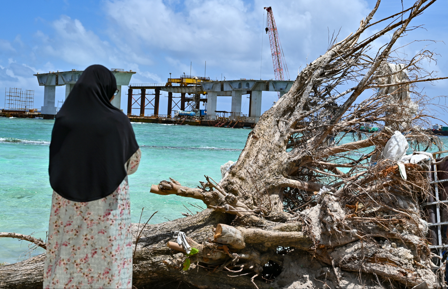 ހައްވާ އަބްދުއްރަހުމާން: މީގެ ތިރީހަކަށް އަހަރު ކުރިން އޭނާ އިންދި މަދުގަސް ވެއްޓިފައި އޮތްއިރު، އެ ގަސް ކައިރީގައި މަޑުކޮށްލައިގެން.-- ފޮޓޯ: ފަޔާޒް މޫސާ | މިހާރު