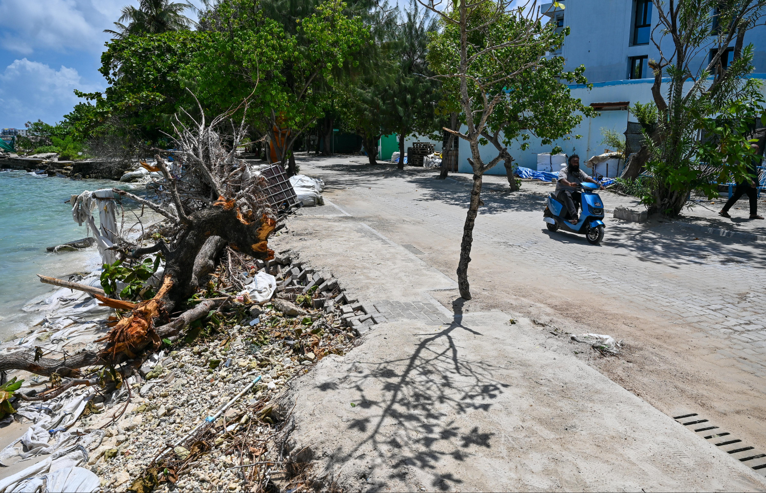 ވިލިމާލެ ހުޅަނގު ފަރާތުން ރަށްގިރައިފައި: ރަށްގިރުމުގެ ސަބަބުން އެ ސަރަހައްދުގައި ހުރި ބޮޑެތި ގަސްތައް ދަނީ ވެރެމުން.-- ފޮޓޯ: ފަޔާޒް މޫސާ | މިހާރު