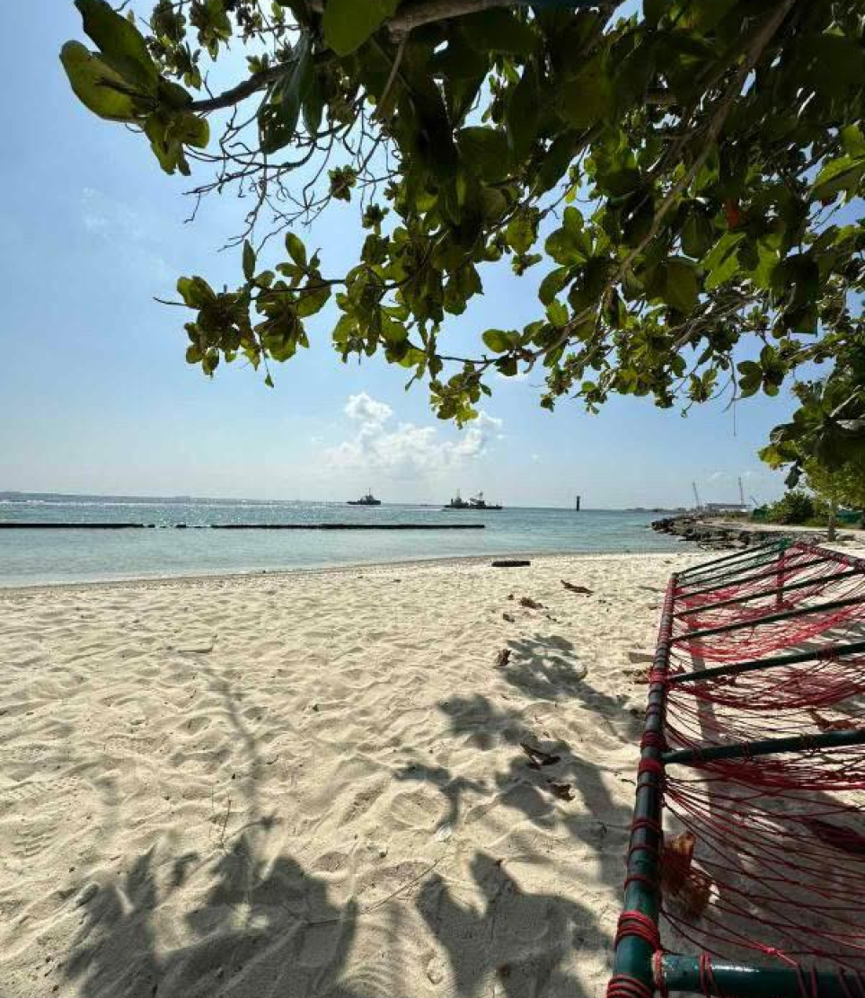 ވެއްޓުނު މަދުގަސް ހުރި ސަރަހައްދު ކުރިން އޮތްގޮތް: އެ ގަހުގެ ތިރީގައި ބަހައްޓާފައި ހުރި ޖޯއްޔެއް.