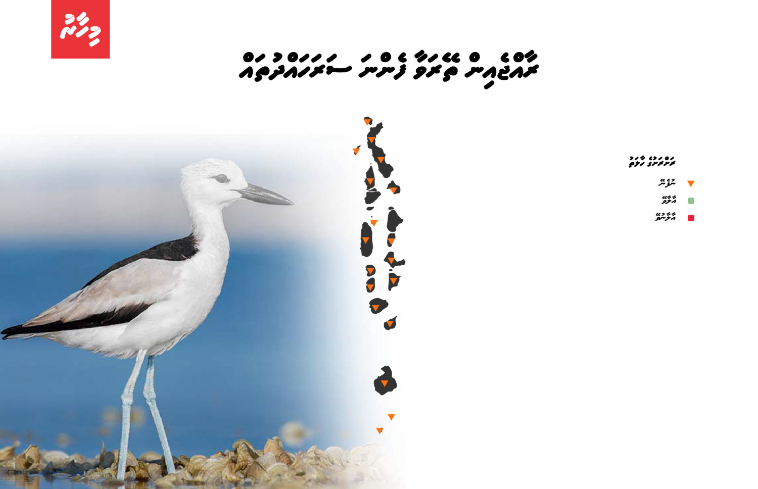 ރާއްޖެއިން ތޭރަވާ ފެންނަ ސަރަހައްދުތައް | މައުލޫމާތު: ދިވެހިރާއްޖޭގައި އާލާވާ ދޫނި އަދި ހިޖުރަކުރާ ދޫނީގެ ހާލަތު