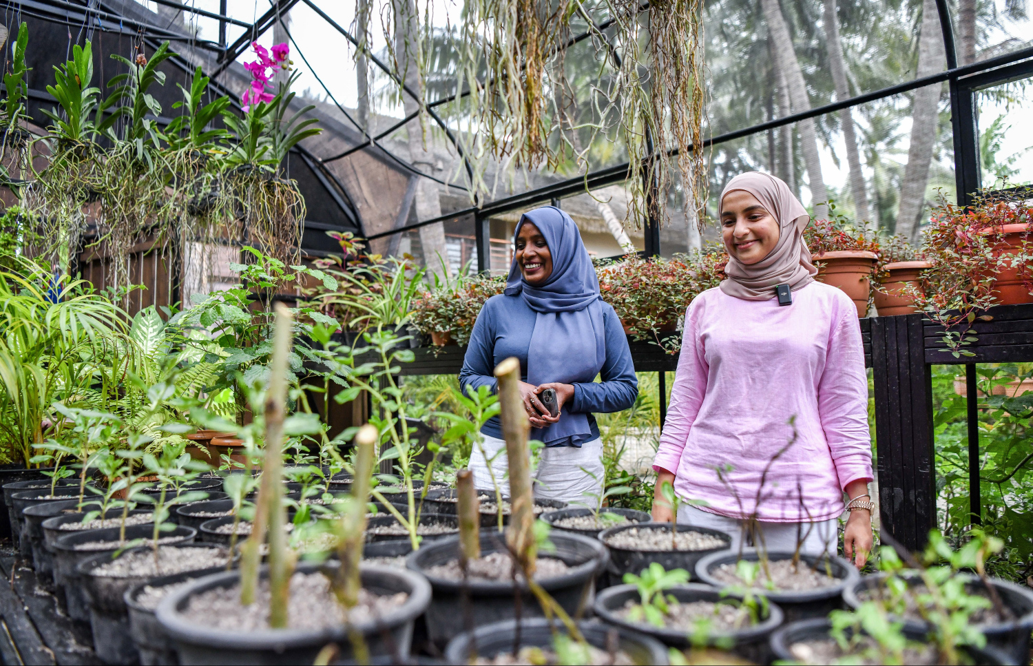 މުޒްނާ، އެ ރަށުގައި ހައްދާ ބައެއް ގަސްތައް ދައްކާލަނީ.--- ފޮޓޯ: ފަޔާޒް މޫސާ| މިހާރު