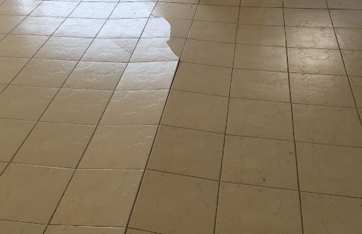 ޓައިލްސްތައް ނައްޓާފައި.