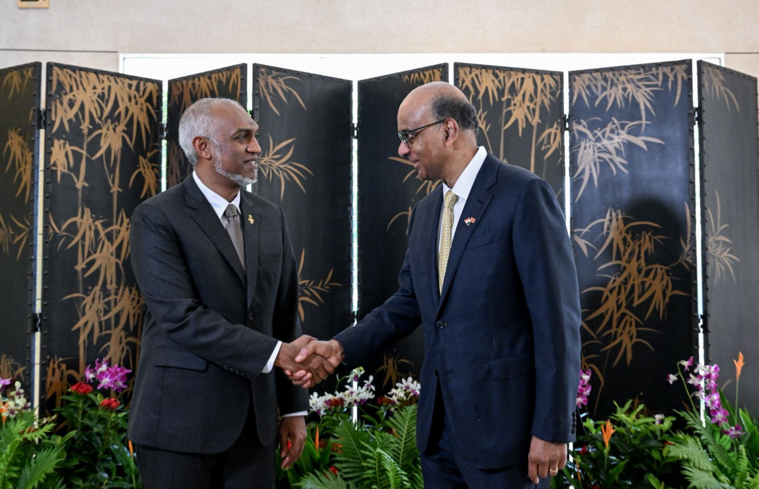 ރައީސް މުއިއްޒާއި ސިންގަޕޫރުގެ ރައީސް ތަރްމަން ޝަންމުގަރަނަމް މިއަދު ސަލާން ކުރައްވަނީ.---ފޮޓޯ: ރައީސް އޮފީސް