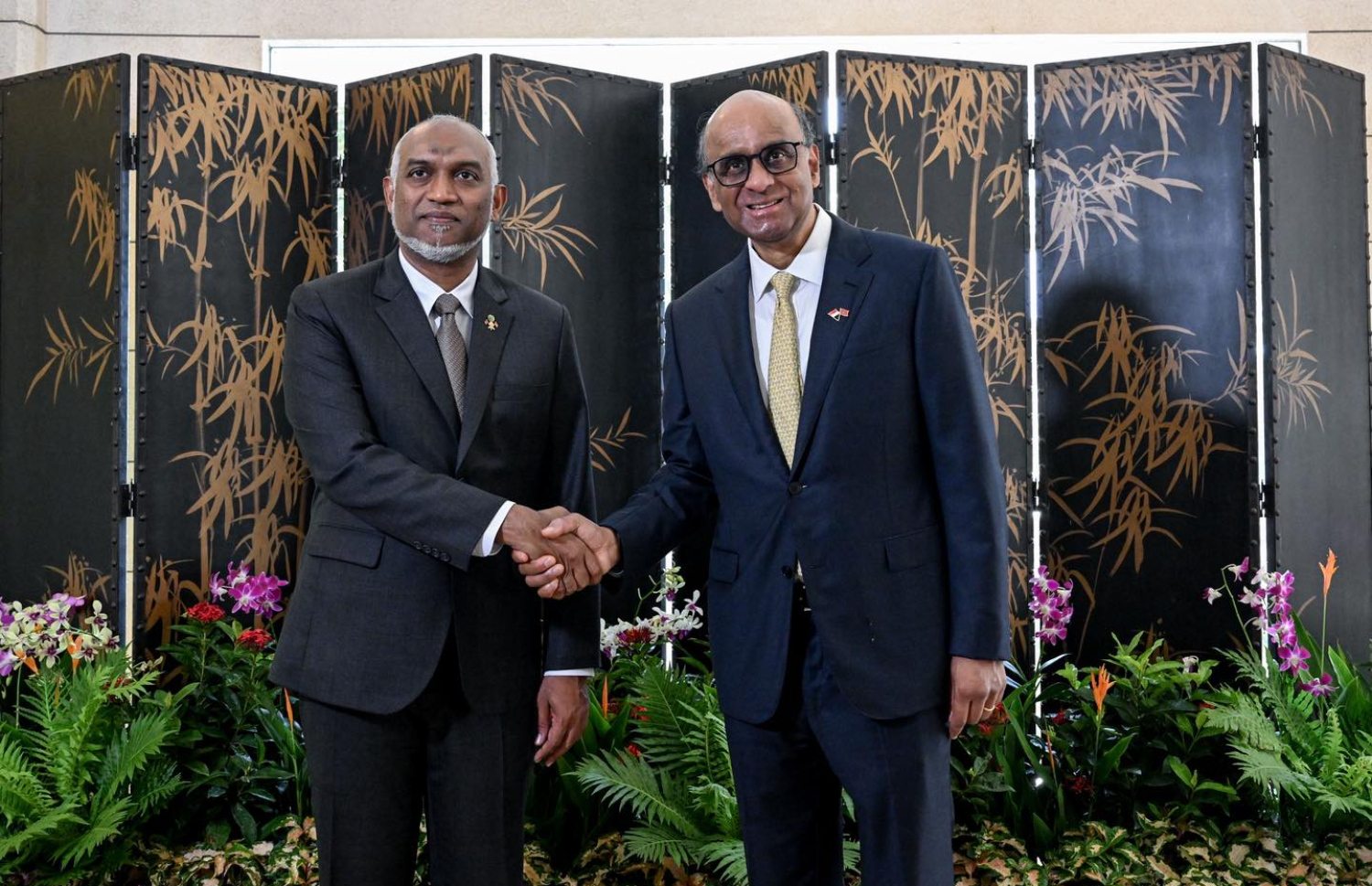 ރައީސް މުއިއްޒާއި ސިންގަޕޫރުގެ ރައީސް ތަރްމަން ޝަންމުގަރަނަމް މިއަދު ސަލާން ކުރައްވަނީ.---ފޮޓޯ: ރައީސް އޮފީސް