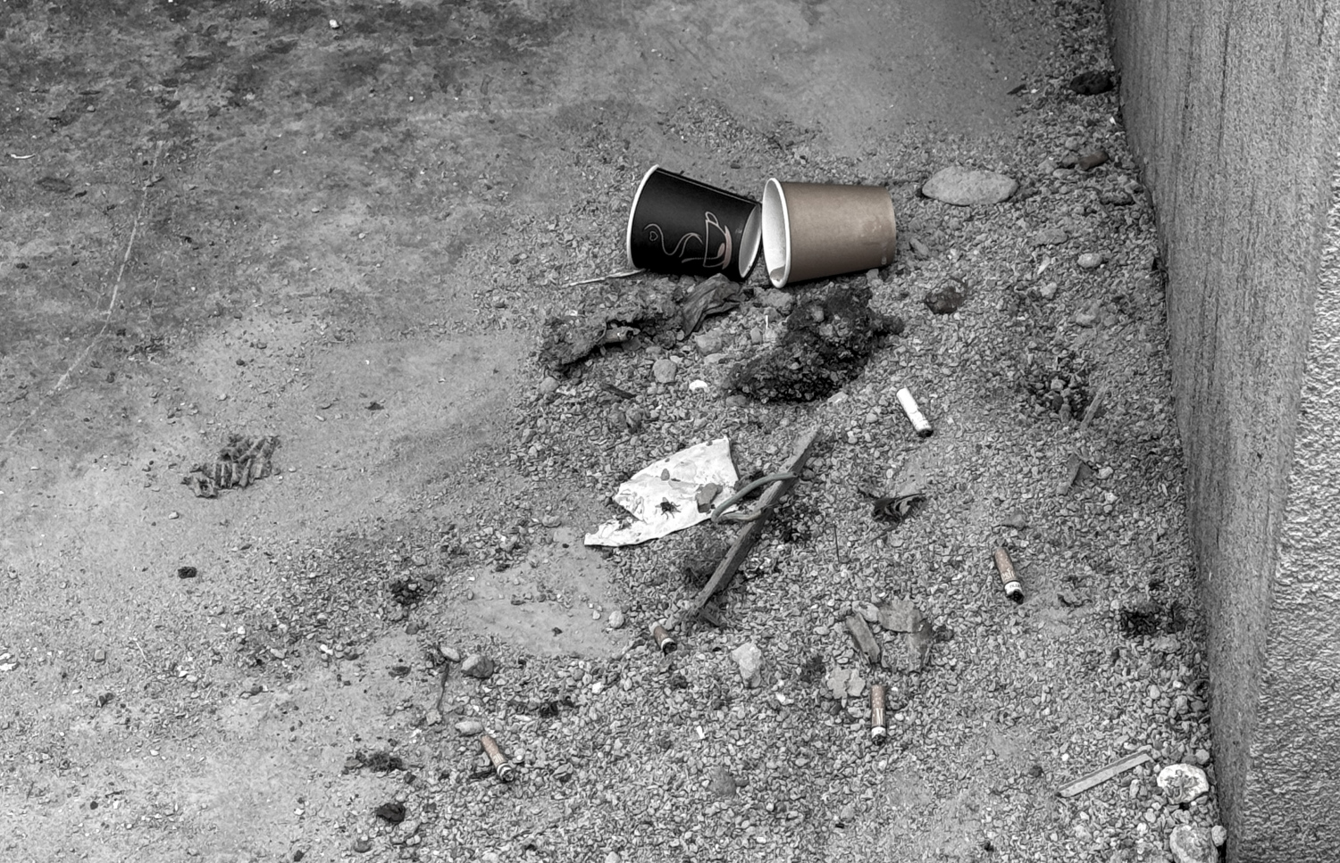 މާފަންނު މަގެއްގައި ބުޅާ ނަޖިސްކޮށްފައި.- ފޮޓޯ: މިހާރު