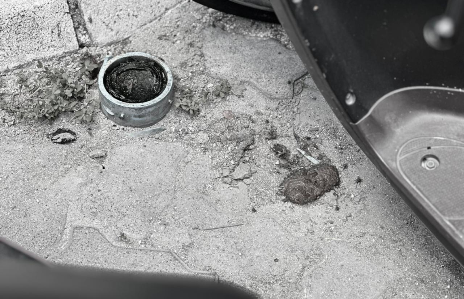 ސައިކަލުތައް ޕާކުކޮށްފައި ހުންނަ ސަރަހައްދުގައި ބުޅާ ނަޖިސްކޮށްފައި.- ފޮޓޯ: މިހާރު