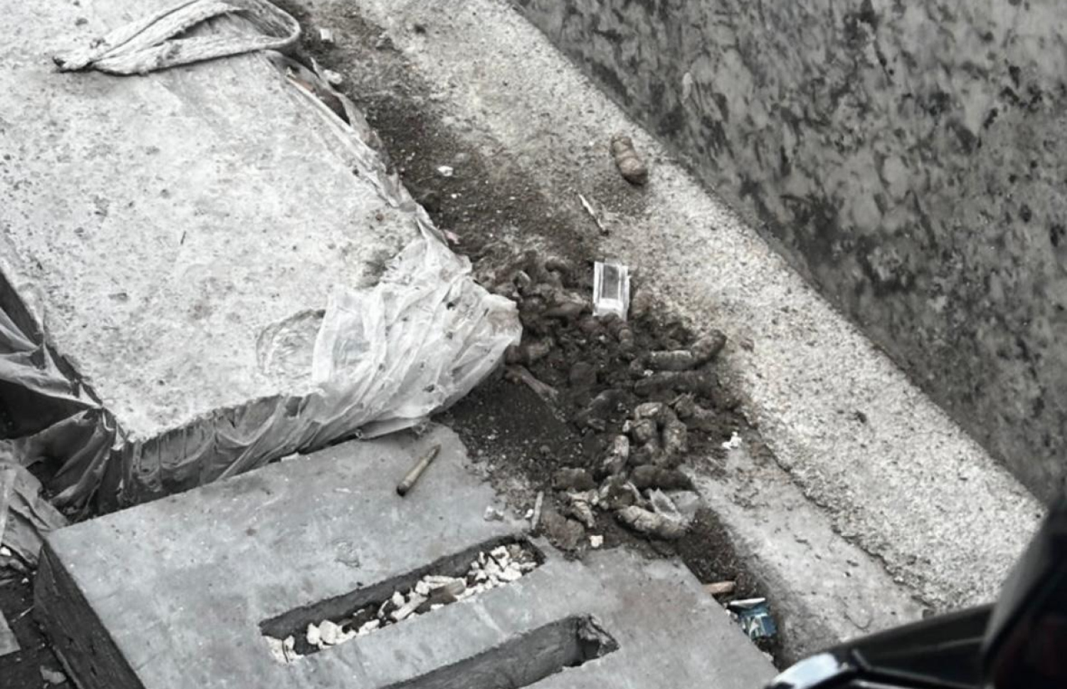 ގިނަ ދުވަސްތަކެއް ވަންދެން މާލޭގެ މަގަކަށް ބުޅާ ނަޖިސްކޮށްފައިވާ ހުއްޓަސް މަގުމަތި ސާފުކުރާ މީހުން އެތަނުން އެ ނުނަގާ.-- ފޮޓޯ: މިހާރު