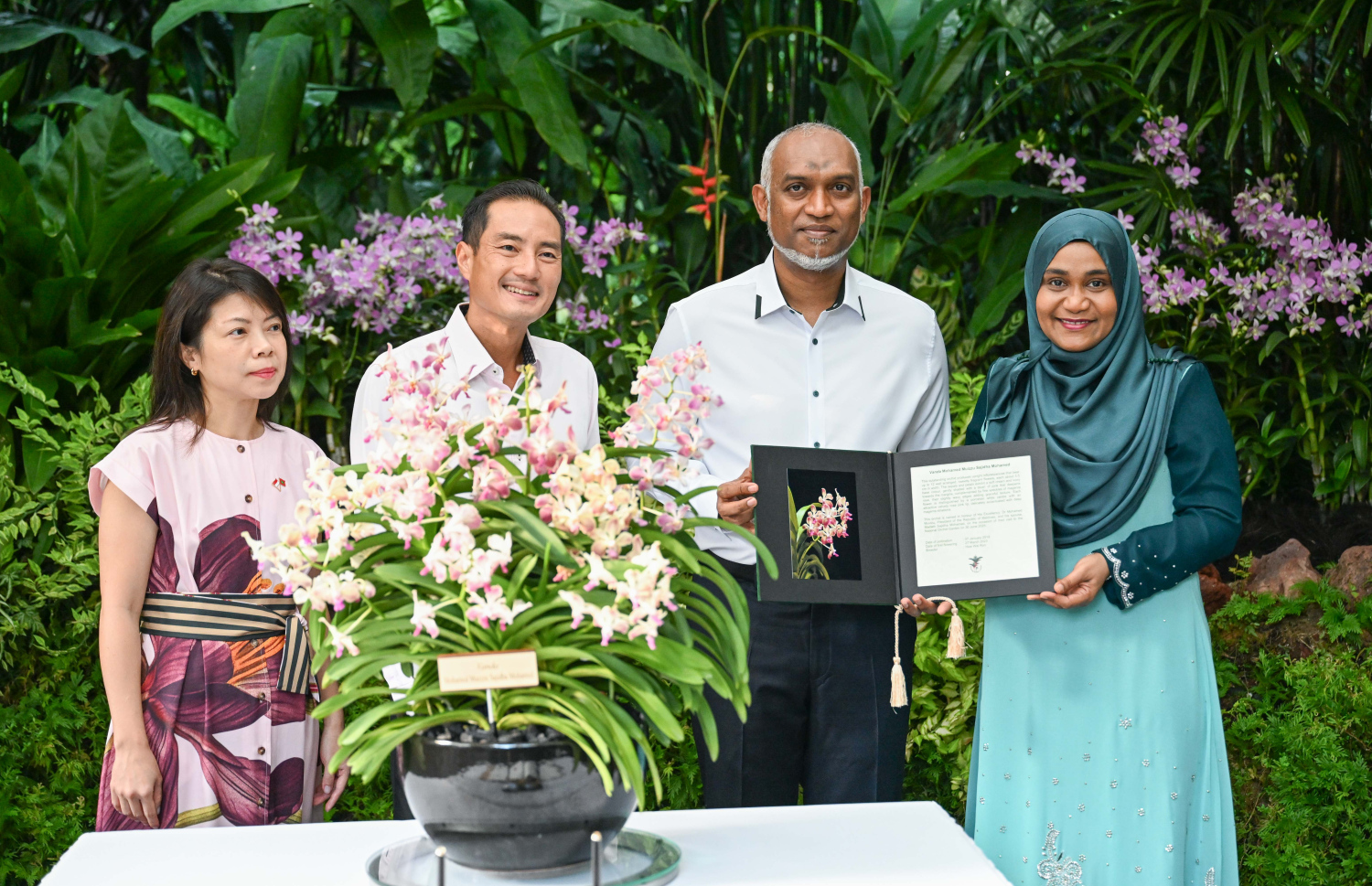 ސިންގަޕޫރުގެ ނޭޝަނަލް އޯކިޑް ގާޑަންގައި ރައީސް ޑރ. މުހައްމަދު މުއިއްޒާއި ފަސްޓް ލޭޑީ ސާޖިދާ މުހައްމަދުގެ ނަމުން އޯކިޑަކަށް ނަން ދިނުމުގެ ރަސްމިއްޔާތުގައި އެ ދެކަނބަލުންގެ ނަމުން ނަން ދިން އޯކިޑުގަހާ އެކު ފޮޓޯއަކަށް ހުއްޓިވަޑައިގެން. -- ފޮޓޯ: ރައީސް އޮފީސް